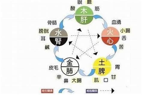 五行缺水姻緣|五行缺水如何找到真愛？玄學解密